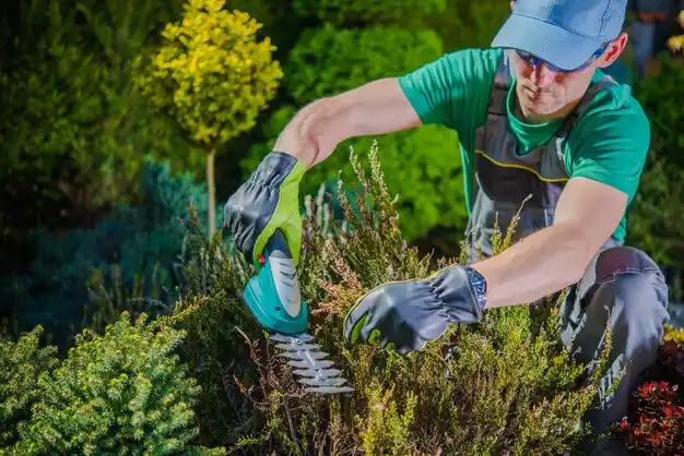 landscaping services Florien